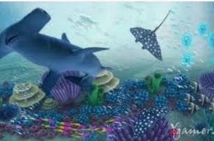 so米体育-在线观看nba直播|足球|篮球cba比赛高清视频桌面版客户端